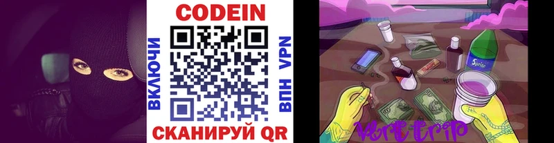 закладки  Анадырь  Кодеин Purple Drank 