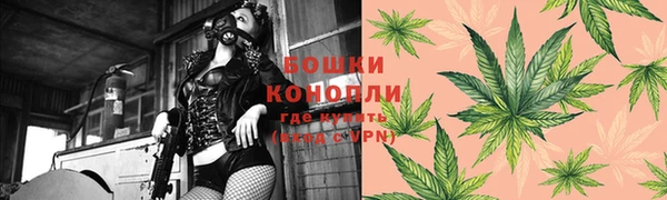 шишки Алексеевка